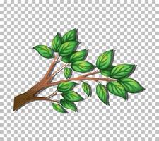 Tree branch on grid background vector