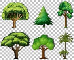 Set of variety trees on grid background vector