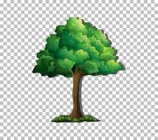 Tree on grid background vector