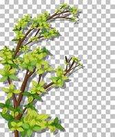 Tree on grid background vector