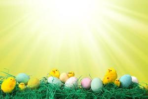 Easter Holiday Image With Chicks Eggs and Grass photo