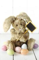Easter Bunny Themed Holiday Occasion Image photo