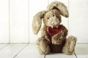 Teddy Bear Bunny With Valentine or Anniversary Love Theme photo