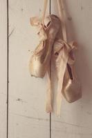 Posed Pointe Shoes in Natural Light photo