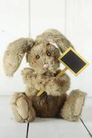 Teddy Bear Like Home Made Bunny Rabbit on Wooden White Background photo