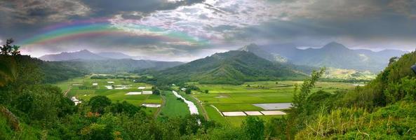 Panorama de los campos de taro en Kauai Hawaii foto