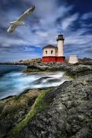 Image of a Lighthouse in Oregon, USA photo