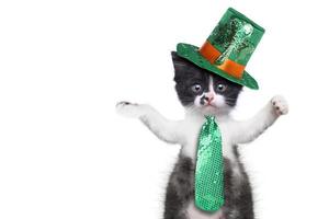 gracioso gatito celebrando la fiesta americana del día de san patricio foto