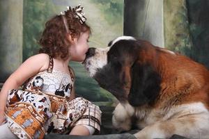 Adorable Child and Her Saint Bernard Puppy Dog photo