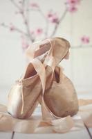 Posed Pointe Shoes in Natural Light photo