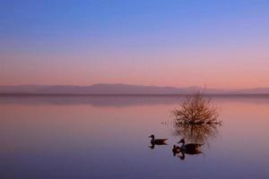 Calm Serene Scene on the Calm Salton Sea photo