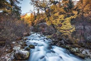 colorida cascada en el bosque de otoño en yading foto