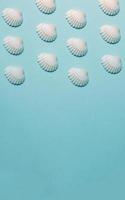 Pattern of shells over a pastel blue background, minimalism, design and digital resource, background with copy space