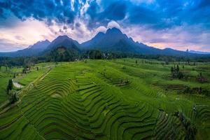the view from the top of the fields of rice fields and mountains is blue and the sky is cloudy photo