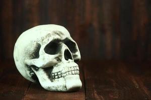 Skull on Wood Grunge Rustick Background
