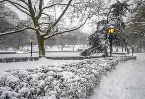 Central Park en invierno después de la tormenta de nieve en las primeras horas de la mañana foto
