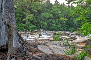 Summer on the swift river, middle falls in early morning photo