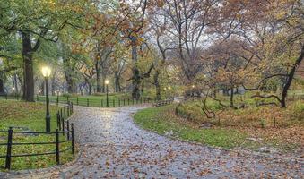 otoño en central park a principios de otoño foto