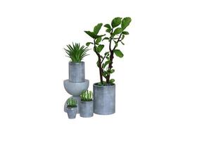 Large Indoor Green Plants Potted Plants photo