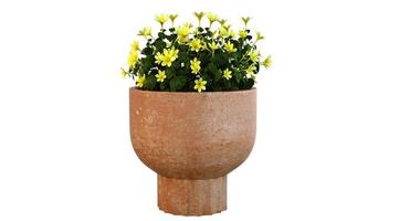 Render 3d de planta con flores amarillas foto