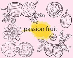Passion fruit sketch set vector illustration