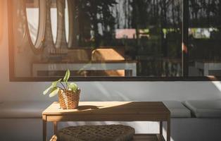 Potted plant on the table with sunlight. photo