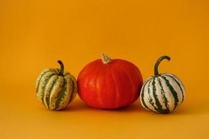 hermosa calabaza redonda naranja y dos pequeñas calabazas de color blanco verdoso sobre un fondo amarillo. Producto organico. preparándose para halloween foto