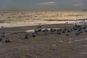 playa de noche de invierno foto