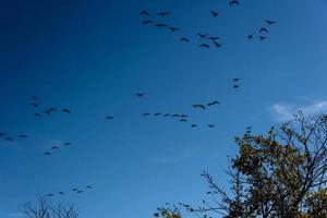 Autumn In Queens photo