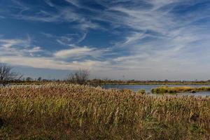 Autumn In Queens photo