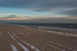 Winter Evening Beach photo