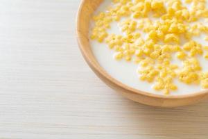 cereals with fresh milk photo