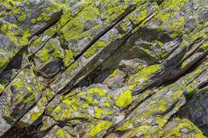 Stone rock texture with green yellow moss and lichen Norway photo