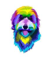 Labradoodle dog head portrait from multicolored paints. Splash of watercolor, colorful drawing, realistic. Vector illustration of paints