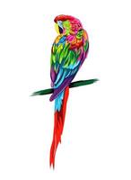 Parrot macaw from multicolored paints. Splash of watercolor, colored drawing, realistic. Vector illustration of paints