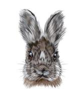 Rabbit head portrait, hare from multicolored paints. Splash of watercolor, colored drawing, realistic. Vector illustration of paints