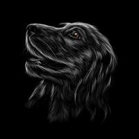 Head portrait of an English Cocker Spaniel on a black background. Vector illustration of paints