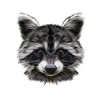 Portrait of a raccoon head from multicolored paints. Splash of watercolor, colored drawing, realistic. Vector illustration of paints