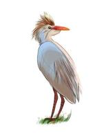 Egyptian heron, Great blue heron from multicolored paints. Splash of watercolor, colored drawing, realistic. Vector illustration of paints