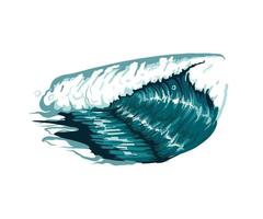 Sea wave from multicolored paints. Splash of watercolor, colored drawing, realistic. Ocean wave. Vector illustration of paints
