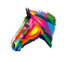 Horse head portrait from multicolored paints. Splash of watercolor, colored drawing, realistic. Vector illustration of paints