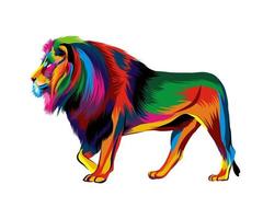 Lion from multicolored paints. Splash of watercolor, colored drawing, realistic. Vector illustration of paints