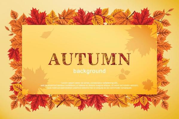 autumn background. autumn hand drawn leaf vector. premium Vectors, designs that can be edited as needed.