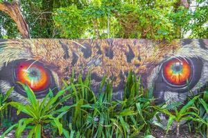 Wall paintings graffiti tiger leopard eyes Playa del Carmen Mexico photo