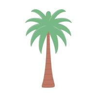 planta de palmera de árbol vector