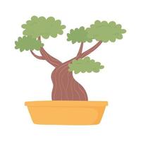 japanese bonsai tree vector