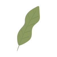 follaje de hojas botánico vector