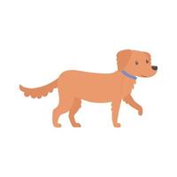 cute animal dog vector