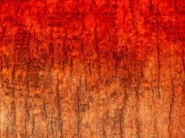 textura de madera colorida foto