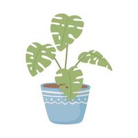 planta tropical en maceta vector